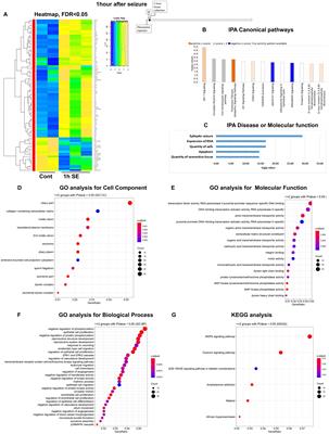 Temporal changes in mouse hippocampus transcriptome after pilocarpine-induced seizures